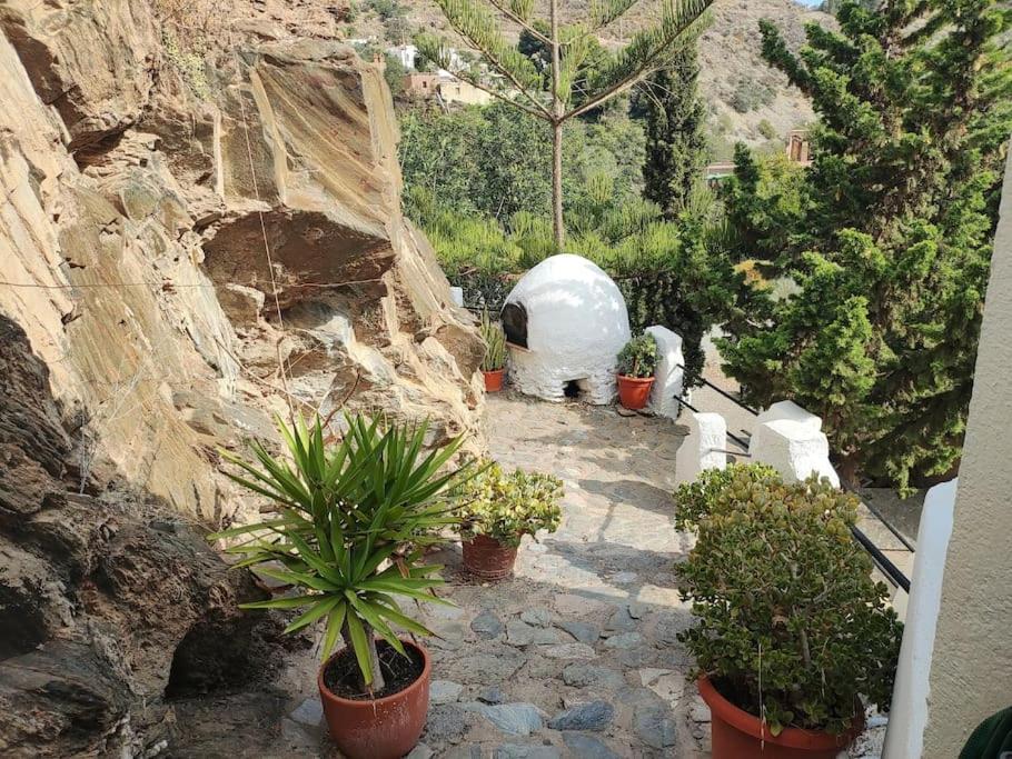 Casa En El Valle De Guainosaltos Adra Eksteriør billede